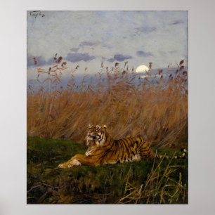 Ein Tiger unter Schilf im Mondlicht Poster