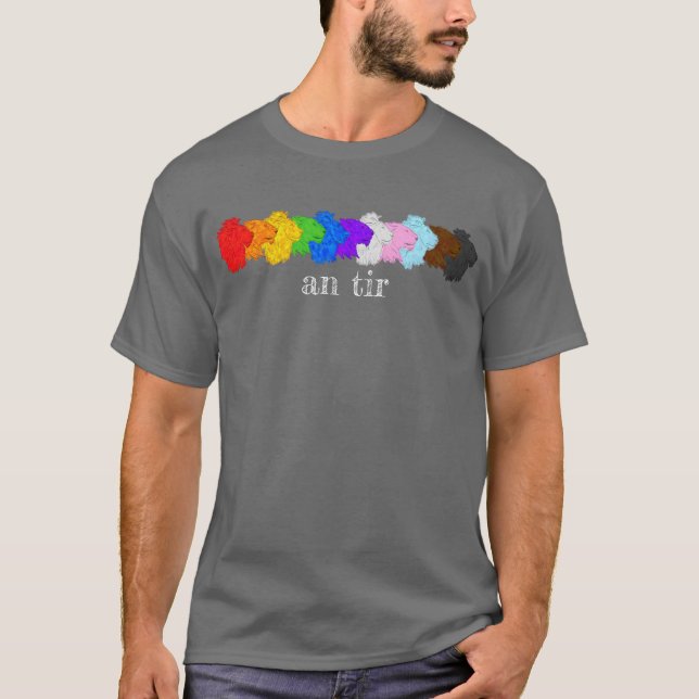 Ein Tir Progress Pride T - Shirt (Vorderseite)
