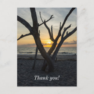 Ein törichter Sonnenaufgang Postkarte