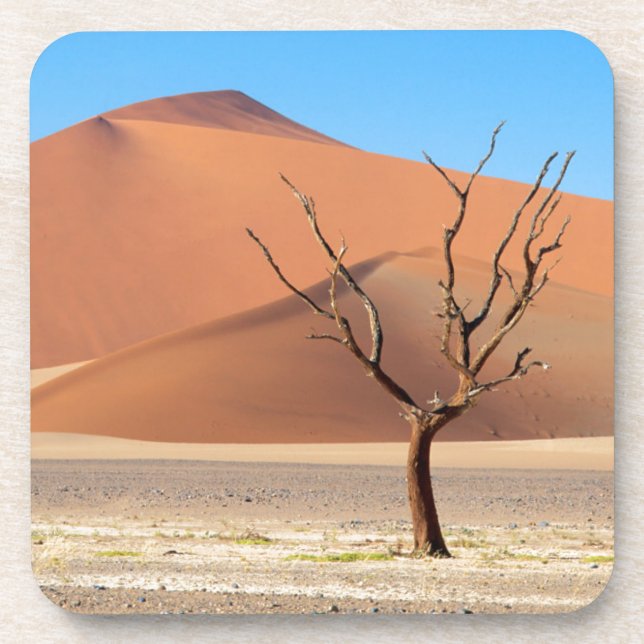 Ein toter Baum auf einer Wüste schlicht mit Dünen Untersetzer (Vorderseite)