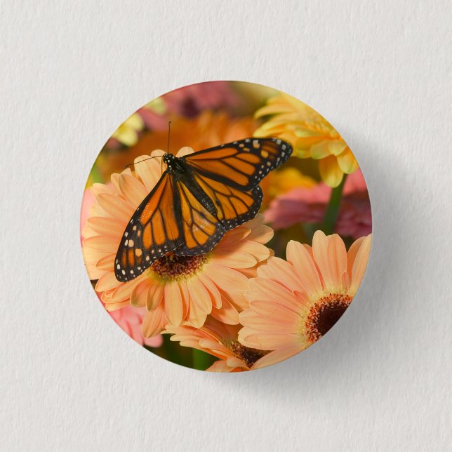 Ein Trauermantel Schmetterling Button (Vorderseite)