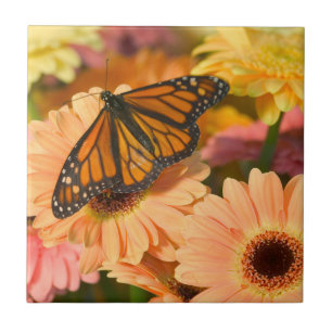 Ein Trauermantel Schmetterling Fliese