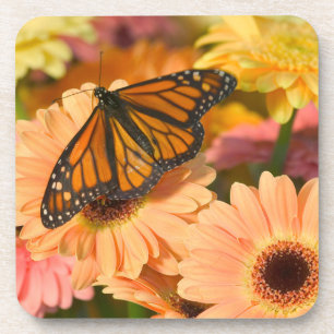 Ein Trauermantel Schmetterling Getränkeuntersetzer
