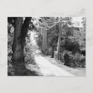 Ein Traum von Schwarz und Weiß Postkarte