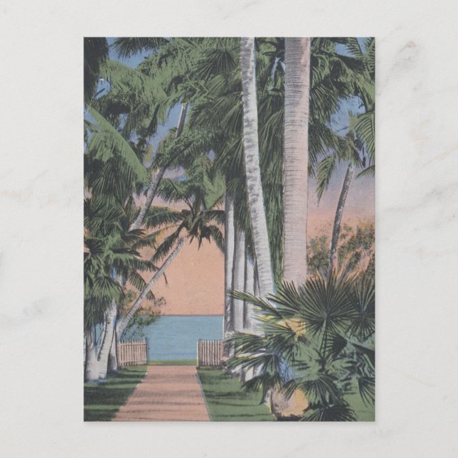 Ein traumhafter Ort in Florida Postkarte (Vorderseite)
