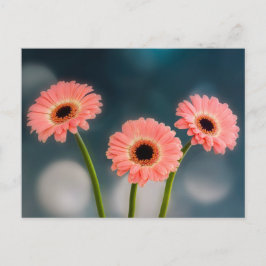 Ein Trio der rosa Gerberas Postkarte