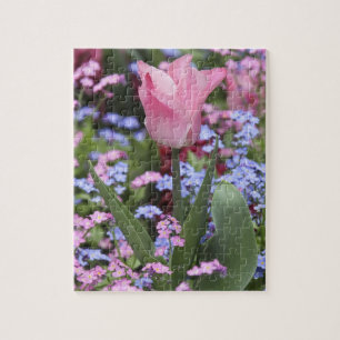 Ein Tulpe in Luxemburg Gardens, Paris, Frankreich