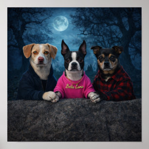 "Ein Twilight-Dreieck" Poster