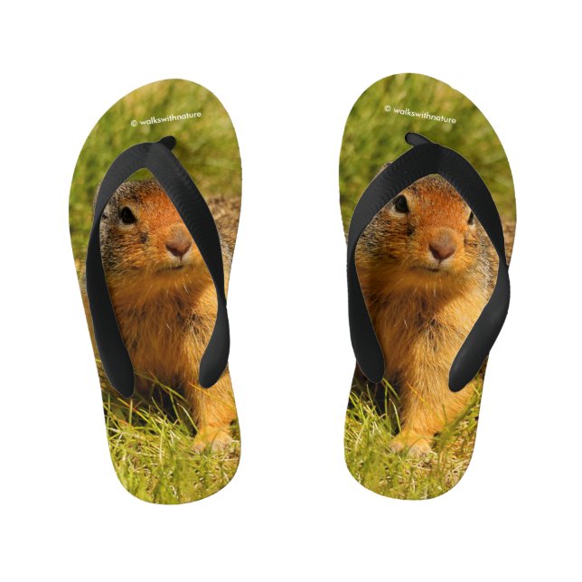 Ein Twitscherstäbchen-Eichhörnchen aus der Columbi Kinderbadesandalen (Fußbett)