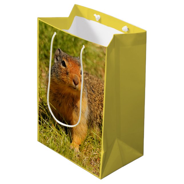 Ein Twitscherstäbchen-Eichhörnchen aus der Columbi Mittlere Geschenktüte (Vorderseite Schrägansicht)