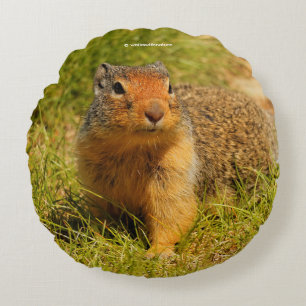 Ein Twitscherstäbchen-Eichhörnchen aus der Columbi Rundes Kissen
