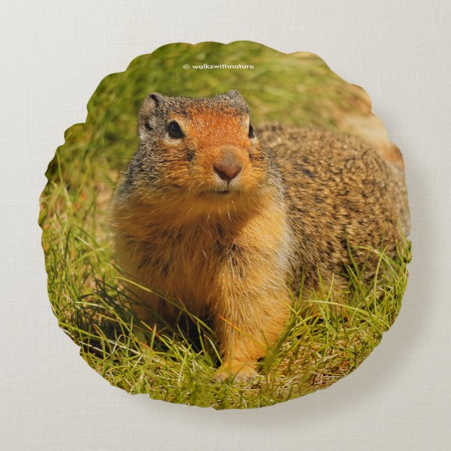 Ein Twitscherstäbchen-Eichhörnchen aus der Columbi Rundes Kissen (Vorderseite)