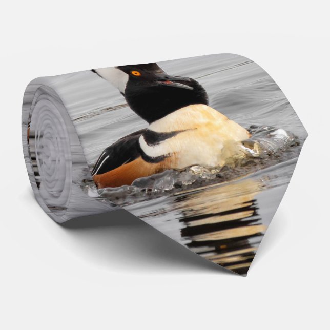 Ein überraschender, gehobener Merganser Krawatte (Gerollt)