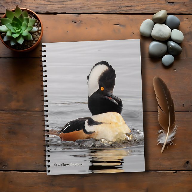 Ein überraschender, gehobener Merganser Notizblock (Surprised Hooded Merganser in the Pond Journal Cover Photo)