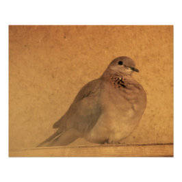 Ein unschuldiger Moment Poster