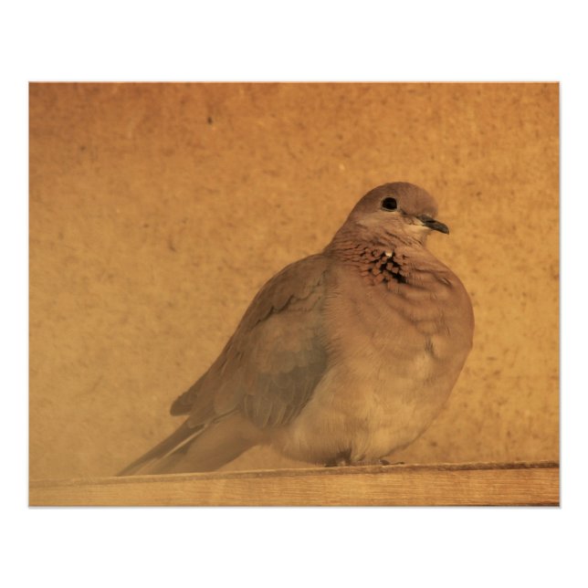 Ein unschuldiger Moment Poster (Vorderseite)