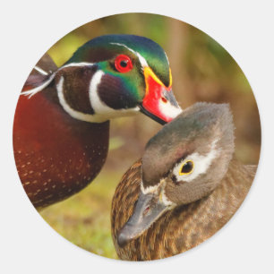 Ein untrennbares Paar hölzerne Enten Runder Aufkleber
