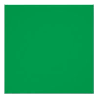 Ein üppiger, grüner Farn mit zartem, verzaubertem 