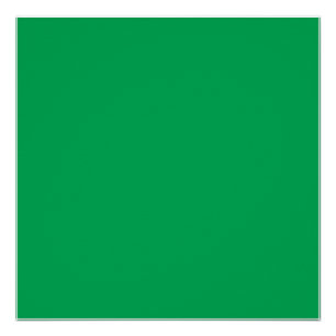 Ein üppiger, grüner Farn mit zartem, verzaubertem  Poster