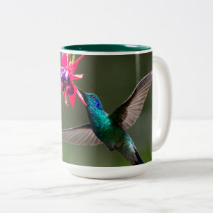 Ein Veilchenohrkolibri im Wolkenwald Zweifarbige Tasse