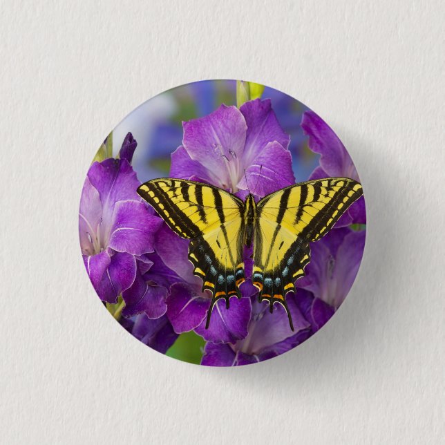 Ein Viceroy Butterfly auf Lila Glads Button (Vorderseite)