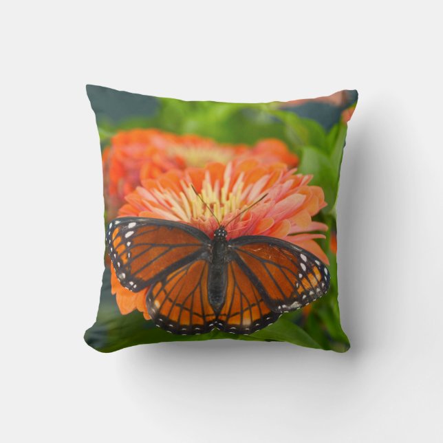 Ein Viceroy Butterfly auf Orange Zinnias Kissen (Vorderseite)