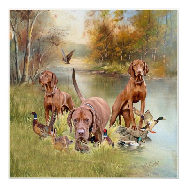 Ein vielseitiger Aristokrat in Ungarisch Vizsla Poster (Vorderseite)