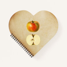 Ein Vintager Apfel und anderthalb