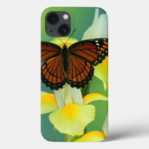 Ein Vizekönig-Schmetterling auf einer gelben Case-Mate iPhone Hülle