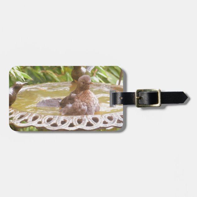 Ein Vogel im Bad Gepäckanhänger (Vorderseite horizontal)