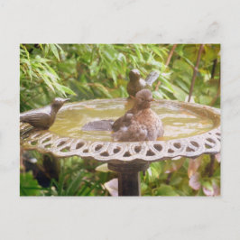 Ein Vogel im Bad Postkarte