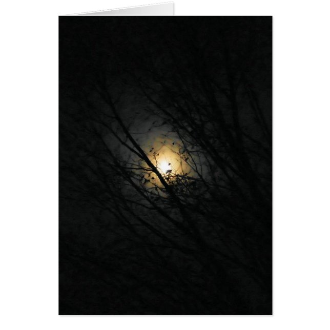 Ein Vollmond macht es grauenhaft - eine leere Inne (Vorne)