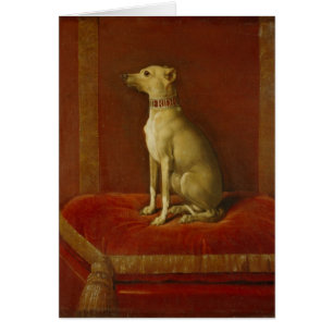 Ein von Frederick II die italienischen Windhunde