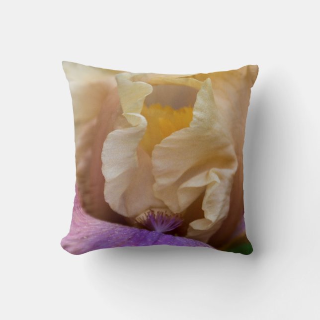 Ein vorzügliches Kissen von nahem hohem der Iris (Vorderseite)