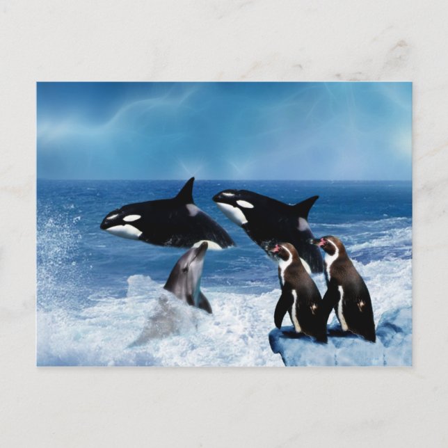 Ein Wal einer Welt Postkarte (Vorderseite)