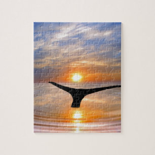 Ein Wal-Schwanz am Sonnenuntergang