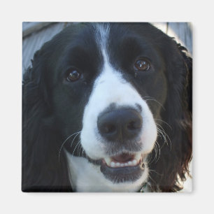 Ein was für Gesicht Magnet