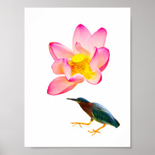 Ein Wasserlotus und ein Herd Poster