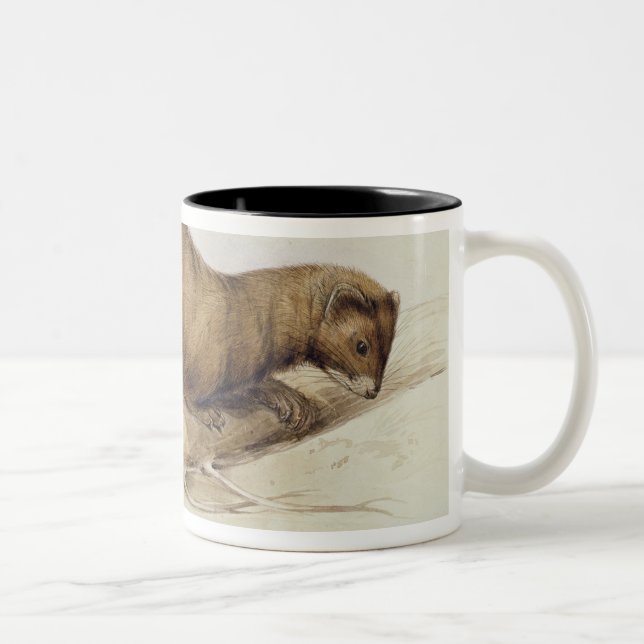 Ein Weasel, 1832 (w/c, Stift, Tinte, Gouache und Zweifarbige Tasse (Rechts)
