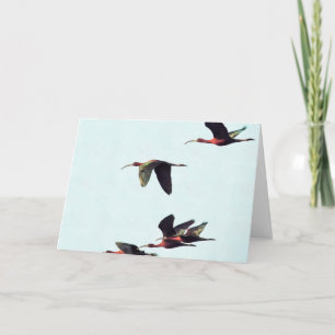 Ein Wedge von Ibises im Flug Karte