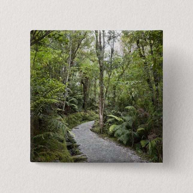 Ein Weg durch einen Regenwald an der Basis von Button (Vorderseite)