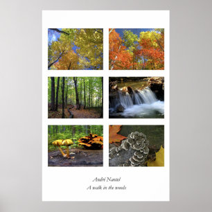 Ein Weg im Holz, Plakat