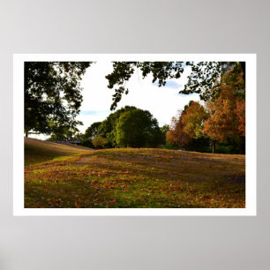 Ein Weg im Park Poster