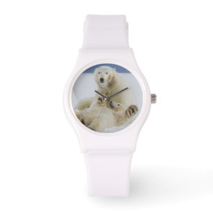 Ein weiblicher Eisbär und ihr Junges spielen im Sc Armbanduhr