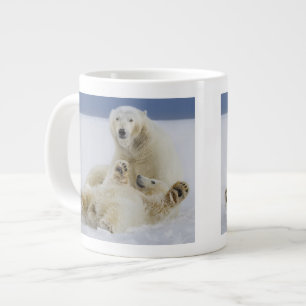 Ein weiblicher Eisbär und ihr Junges spielen im Sc Jumbo-Tasse