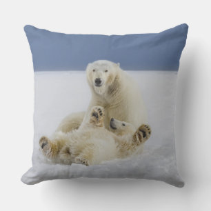 Ein weiblicher Eisbär und ihr Junges spielen im Sc Kissen