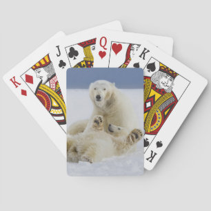 Ein weiblicher Eisbär und ihr Junges spielen im Sc Spielkarten