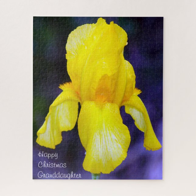 Ein Weihnachtsgeschenk für meine Enkelin. (Vertikal)