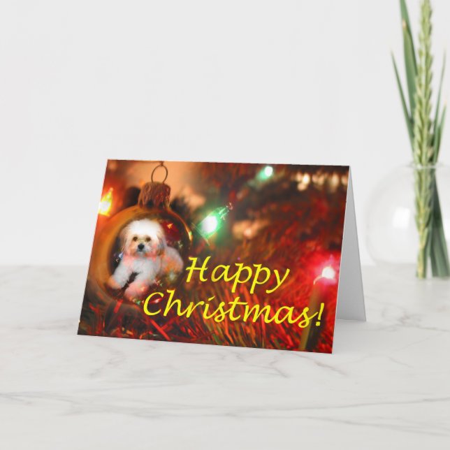 Ein Weihnachtswunsch Feiertagskarte (Vorderseite)
