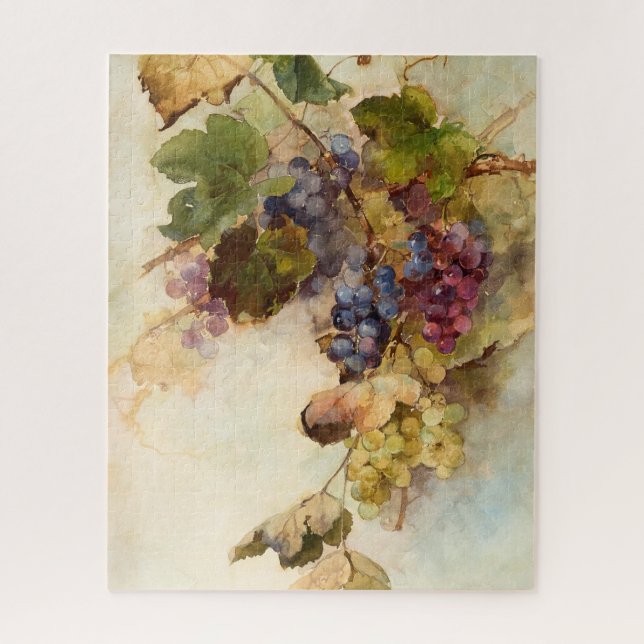 Ein Wein der Trauben von Franz Bischoff (Vertikal)